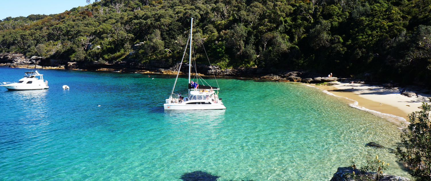 catamaran boat share sydney boat hire in sydney for any occasion rockfish catamarans catamaran boat share sydney boat hire in sydney for any occasion rockfish catamarans